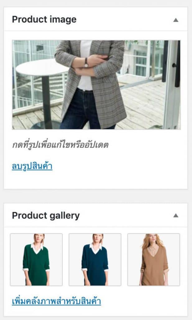เพิ่มข้อมูลสินค้า ด้วยระบบ wordpress